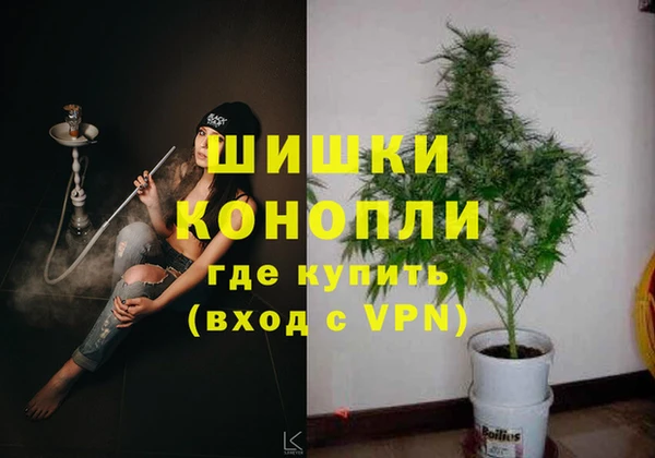 индика Белокуриха