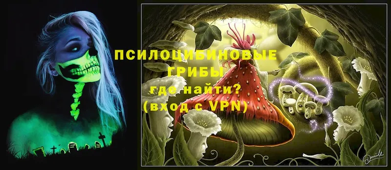 Галлюциногенные грибы MAGIC MUSHROOMS  Иннополис 